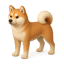CodexPets.net logo